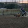 Coyote Ranch