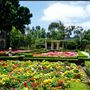 Alcazar Garden - Balboa Park