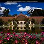 Botanical Building and Gardens - Balboa Park