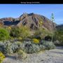 Borrego Springs
