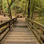 Armstrong Redwoods State Natural Reserve (SNR)
