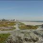 Coronado City Beach