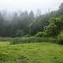Austin Creek State Recreation Area (SRA)