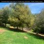Enchanted Elfin Forest Home on 2 private acres