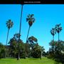 Golden Hill Park