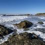 Bean Hollow State Beach (SB)