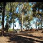 Junipero Serra Museum