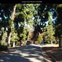 Junipero Serra Museum