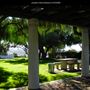 Junipero Serra Museum