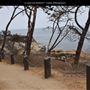La Jolla Cove