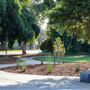 Chapman Park & Dorothy F. Johnson Center