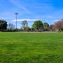 Community Park