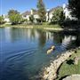 Bridgeport: Picturesque, New England-Inspired Aesthetic in Los Angeles