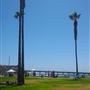Ocean Beach