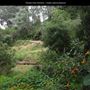 Presidio Park