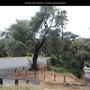 Presidio Park