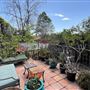 Mediterranean Grove House