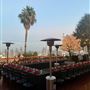 Yamashiro Hollywood - Historic Restaurant, Hotel & Gardens