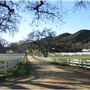 Ventura Farms