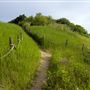 Brannan Island State Recreation Area (SRA)