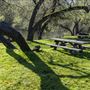 Clear Lake State Park (SP)