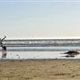 Pismo Beach