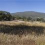 Cuyamaca Rancho State Park (SP), Lake Cuyamaca and Grand Valley Rapids