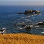 Arched Rock Beach (Sonoma Coast State Park)
