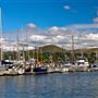Bodega Bay