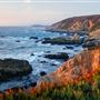 Bodega Head / Dunes (Sonoma Coast State Beach)