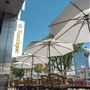 Toastique on Sunset