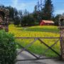 Dry Creek Vineyard