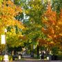 Healdsburg