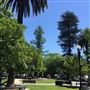 Healdsburg