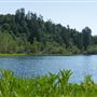 Healdsburg