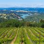 Lake Sonoma