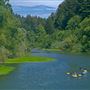 Russian River