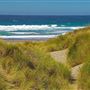 Salmon Creek Beach (Sonoma Coast State Park)