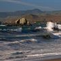 Sonoma Coast State Park (SP)