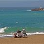 Sonoma Coast State Park (SP)