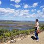 Viansa Sonoma Winery