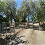 Modern Farmhouse on Expansive Agoura Hills Lot – Film-Ready & Versatile