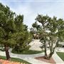 Palmdale Civic Center / City Hall Campus