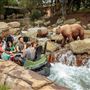 Knott's Berry Farm & Knott's California Marketplace