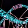 Knott's Berry Farm & Knott's California Marketplace