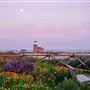 Mark Abbott Memorial Lighthouse aka Santa Cruz Surfing Museum