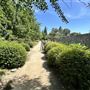 Japanese Gardens @ Donald C. Tillman Water Reclamation Plant