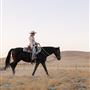 CG Cattle Company
