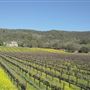Sonoma