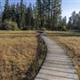 Ward Creek Park Property